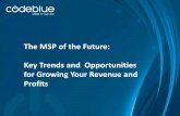 The MSP of the Future: Key Trends and Opportunities for Growing Your Revenue and Profits