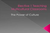 Elective 1Teaching Multicultural Classrooms