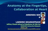 Anatomy at the Fingertips, Collaboration at Heart