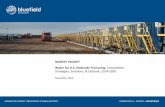 Water for U.S. Hydraulic Fracturing: Competitive Strategies, Solutions, & Outlook, 2014-2020