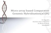 Micro array based comparative genomic hybridisation -Dr Yogesh D