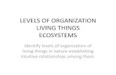 Levels of organization 2