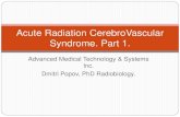 238092313 acute-radiation-cerebrovascular-syndrome