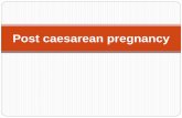 Post Caesarian Pregnancy