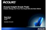Acquia Insight Sneak Peek: Analyze, Manage, and Tune Your Drupal Site like Never Before
