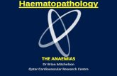 Haematopathology:  Introducing the various types of  anaemias and red cell disorders