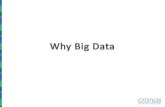 Why Big Data - the data rush