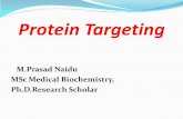 Protein targeting