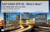 SAP HANA SPS09 - HANA IM Services