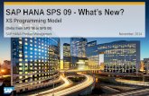 SAP HANA SPS09 - XS Programming Model