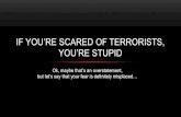 If you're afraid of terrorists, you're stupid...