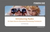 Hydra - Content Processing Framework for Search Driven Solutions