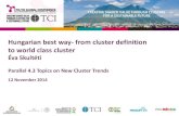 TCI 2014 Hungarian best way-from cluster definition  to world class cluster