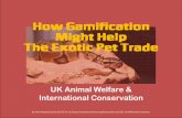 Gamification & Exotic Pet Trade