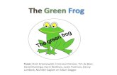 Green  Frog
