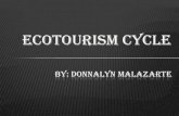 Ecotourism cycle