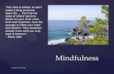 Trivsel med Mindfulness - et foredrag