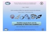 Med and Black Sea Shellfish Aquaculture