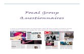 Focal Group Questionnaires