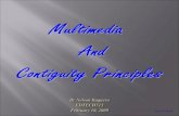 Multimedia Contiguity Principles