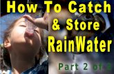 Part 2 - How To Catch & Store Rainwater