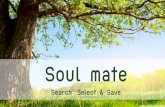 4 soul mate