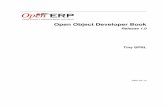 Openobject developer1