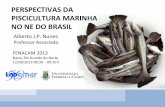 Perspectives of marine fish farming in NE Brazil (in Portuguese)