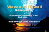 The waves of Hawaii 夏威夷的海浪