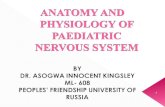 Anatomy and physiology of paediatric nervous system by dr asogwa innocent kingsley (2)