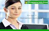 Progressive India Group , Overview