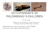 Ectoparasite of palembang children