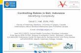 Identifying complexity in the control of rabies in Bali, Indonesia