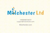 Molchester Brand Optimization PowerPoint