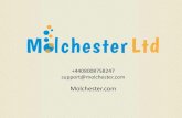 Molchester Website Audit PowerPoint