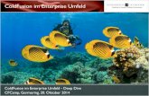 ColdFusion im Enterprise Umfeld - Deep Dive