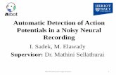 (Reading Group) Automatic Detection of Action Potentials in a Noisy Neural Recording