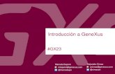 Introduccion a Genexus