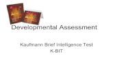 The Kaufman Brief Intelligence Test (KBIT)