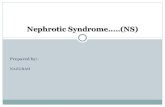 Nephrotic syndrome 1