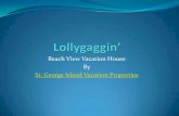 Lollygaggin’ st. george island beach view vacation rental