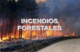 Incendios Forestales- Power Point