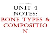 Anatomy Unit 4 Notes:  Bone Types, Function, The Skeleton