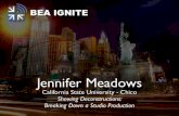 BEA Ignite2014 - Meadows