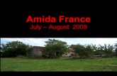 Amida France Summer 2009