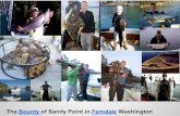 Sandy Point Ferndale / Saltwater Bellingham / San Juan Islands fishing / Sandy Point Fishing