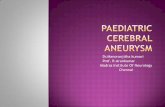 Paediatric cerebral aneurysm