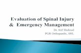 Evaluation of Spinal Injury & Emergency Management