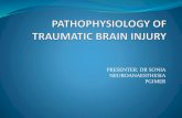 Pathophysiology of traumatic brain injury