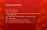 Session 12 cattle_nutrition